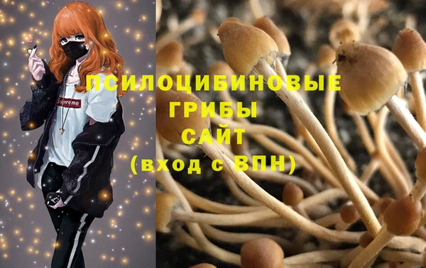 ALPHA-PVP Алексин