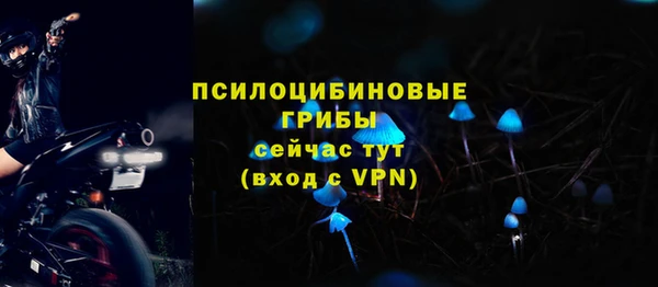 синтетический гашиш Алексеевка