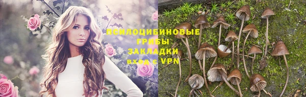 синтетический гашиш Алексеевка