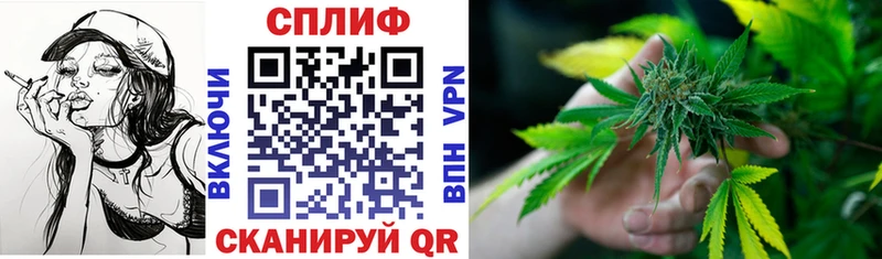 дарнет шоп Петровск Конопля планчик